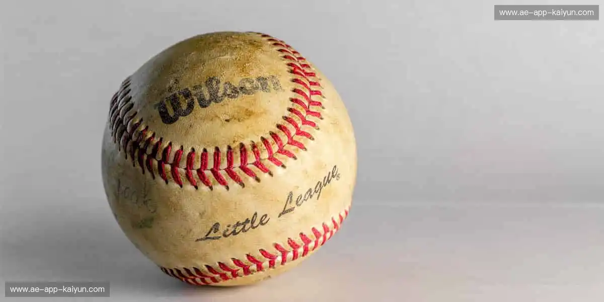 🎁🌟 限量周边,收藏你的热爱!